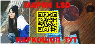 шишки Бердск