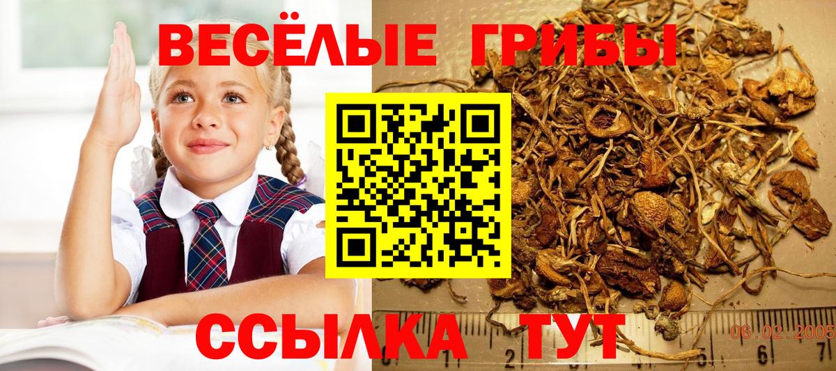Псилоцибиновые грибы мухоморы Сегежа