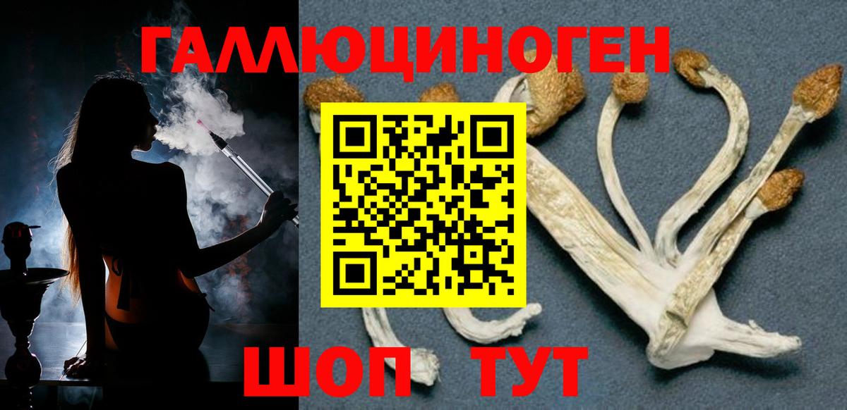 Сегежа  Галлюциногенные грибы Cubensis  Вход с VPN 