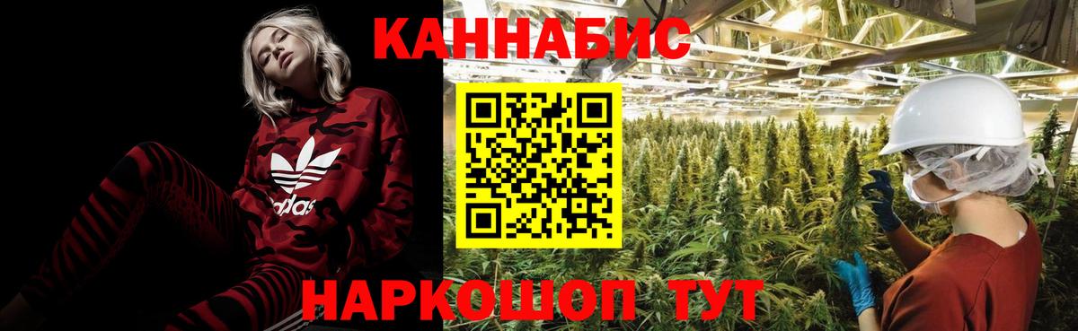 Сегежа  Конопля ГИДРОПОН  Марихуана ГИДРОПОН  Вход с VPN 